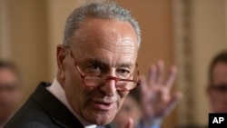 參議院少數黨領袖舒默。（Senate Minority Leader Chuck Schumer, D-NY）
