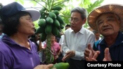 张志军参观木瓜果园（陆委会提供）