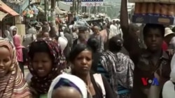 巴拿马文件披露的避税港伤害贫困国家