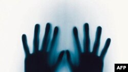 Торговля «живым товаром»: ситуация за 2009 год