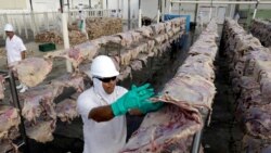 巴西停止出口牛肉到中國