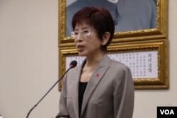 国民党总统候选人洪秀柱 (美国之音杨明)