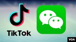 抖音與微信標識。