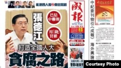 成報再發威第三次炮轟人大委員長張德江(蘋果日報圖片)