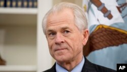 美國白宮貿易與經濟事務顧問納瓦羅。（資料圖片）