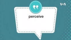 学个词--perceive