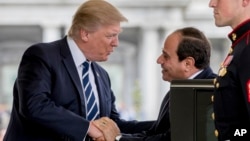 川普在白宮歡迎到訪的埃及總統塞西(2017年4月3日)
