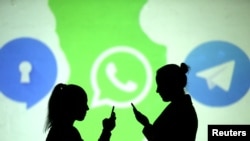 社交媒體Signal, Whatsapp 與Telegram 出現在一個畫面上。