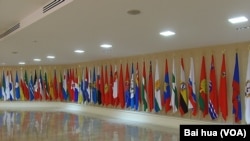 上議院聯邦委員會中所懸掛的俄羅斯各地區的旗幟。（美國之音白樺拍攝） 