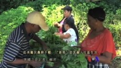 美國專訊 673 (2017年3月26日)