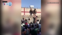 VOA國際60秒：2021年8月25日