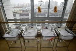 資料照：上海一家醫院的新生兒 （2006年7月10日）