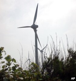 绿色能源和绿色植被