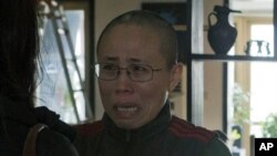 諾貝爾和平獎得主劉曉波妻子劉霞(2012年12月6日資料照片)