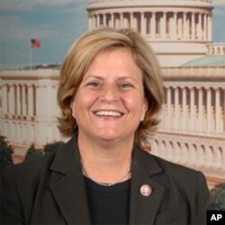 美国会众议院外交委员会主席、共和党众议员罗斯-雷提南