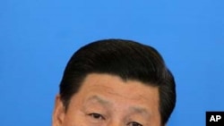 習近平 (資料圖片)