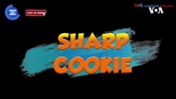 一分钟美语--Sharp Cookie