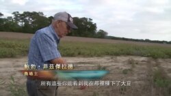 美國專訊 787 (2019年6月1日)