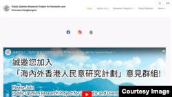 “海內外香港人民意研究計劃"的網站主頁。（網上截圖）