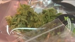 洛杉矶大麻展上相关产业蜂拥而至