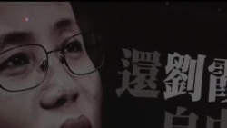 2014-02-14 美國之音視頻新聞: 劉霞的健康狀況惡化