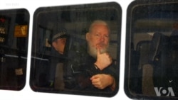 特朗普称不了解维基解密网站