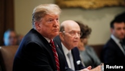 美國總統特朗普2019年2月12日參加在白宮舉行的內閣會議