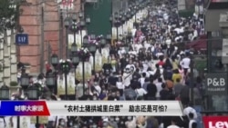 时事大家谈: “农村土猪要拱城里白菜”，励志还是可怕？