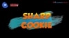 ຮຽນພາສາອັງກິດ ໃນນຶ່ງນາທີ: “Sharp cookie” ແປວ່າ “ຄົນຫຼັກແຫຼມ/ສະຫຼາດຫຼັກແຫຼມ” 