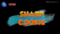 ຮຽນພາສາອັງກິດ ໃນນຶ່ງນາທີ: “Sharp cookie” ແປວ່າ “ຄົນຫຼັກແຫຼມ/ສະຫຼາດຫຼັກແຫຼມ” 
