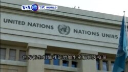 VOA國際60秒(粵語): 2015年7月28日