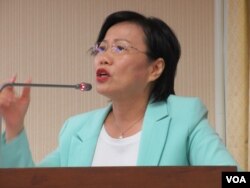 台湾执政党民进党立委刘世芳