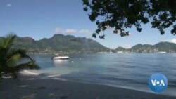 Back to Back Heat Waves Devastate Indian Ocean Coral