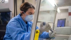 軍醫在菲律賓海上美利堅號兩栖攻擊艦(USS America)上進行化驗工作（美國海軍2020年3月18日）