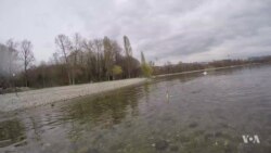 Scientists Design a Pollution-Hunting Robot