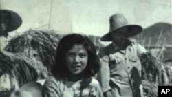 中國大躍進期間的照片顯示人坐在密植的稻子上。當時各地競相偽造糧食高產，種下大飢荒惡果。