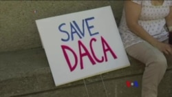 2017-09-05 美國之音視頻新聞: 川普據信將宣佈終止延緩遣返夢想者 有人擬抗議 (粵語)