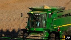 资料照 美国伊利诺伊州的农民收获大豆