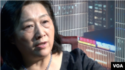 中國資深媒體人高瑜.(資料圖片）