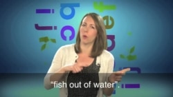  English in a Minute: A Fish Out of Water