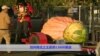 美国万花筒：加州南瓜之王赢得13600美金
