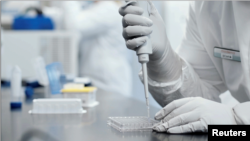 莫德納疫苗安全性有效性數據漂亮 美FDA或將緊急批准使用授權