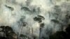 Brazil to Ban Fires in Amazon for 120 Days 