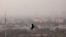 FILE - A bird flies through a thick layer of smog in New Delhi, India, Nov. 20, 2024.