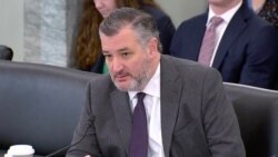 美參院商務委員會主席克魯茲：收購格陵蘭有利於國防、經濟和應對中國