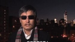 陳光誠發表世界人權日視頻講話