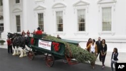 聖誕樹在星期五運抵白宮