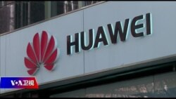 焦点对话：任正非调门转高，美国盟友对华为松口？