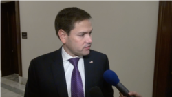 资料照片:美国国会联邦参议员鲁比奥接受美国之音采访。(2019年11月14日)