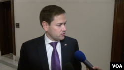 資料照片：美國參議員魯比奧接受美國之音採訪。(2019年11月14日)